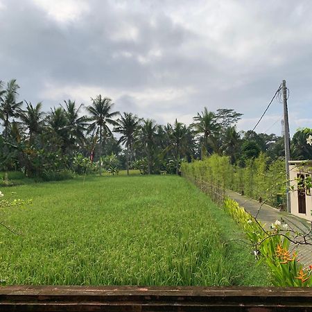 Adi Laxmi Villa Ubud Exterior photo
