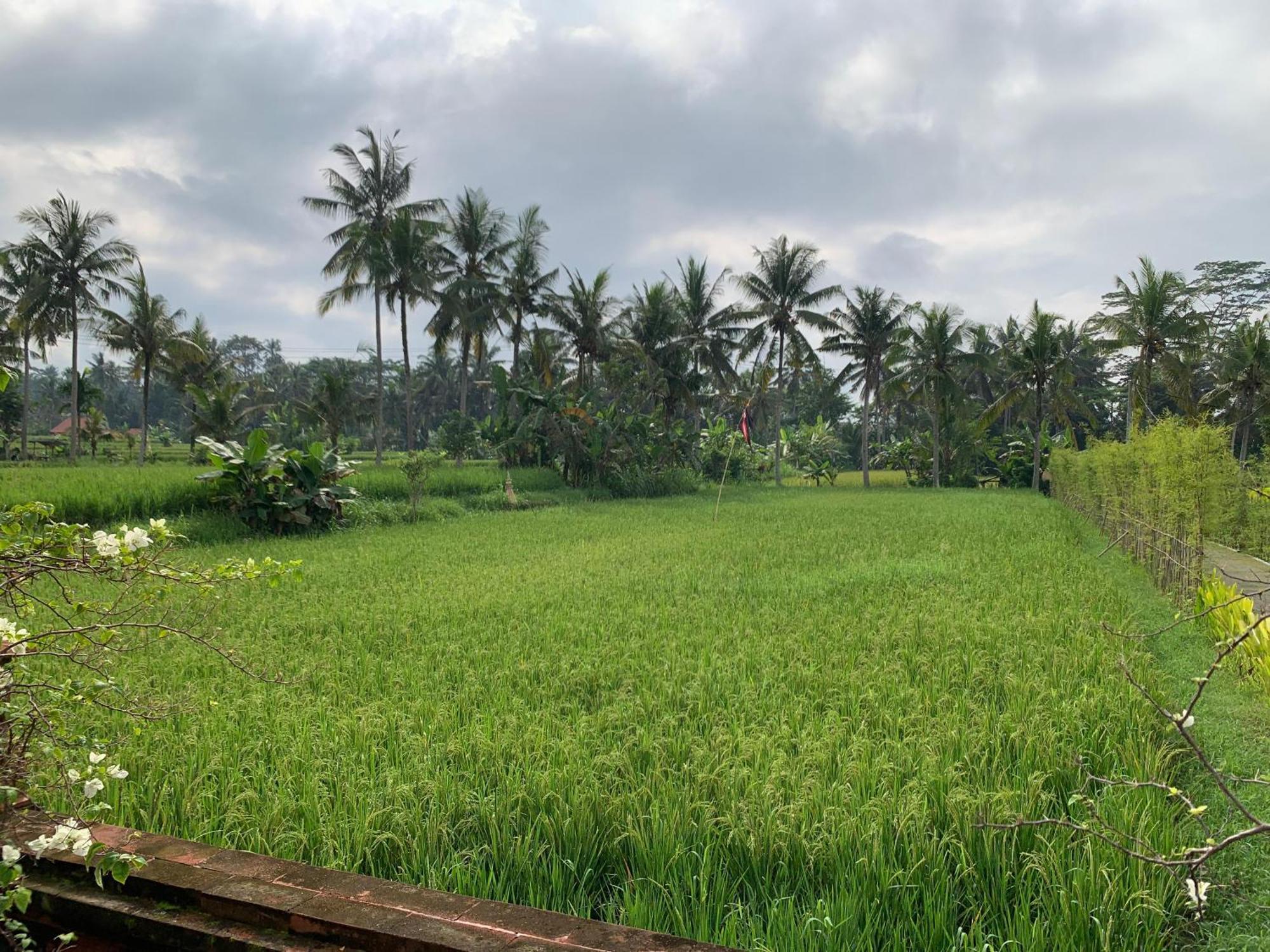 Adi Laxmi Villa Ubud Exterior photo